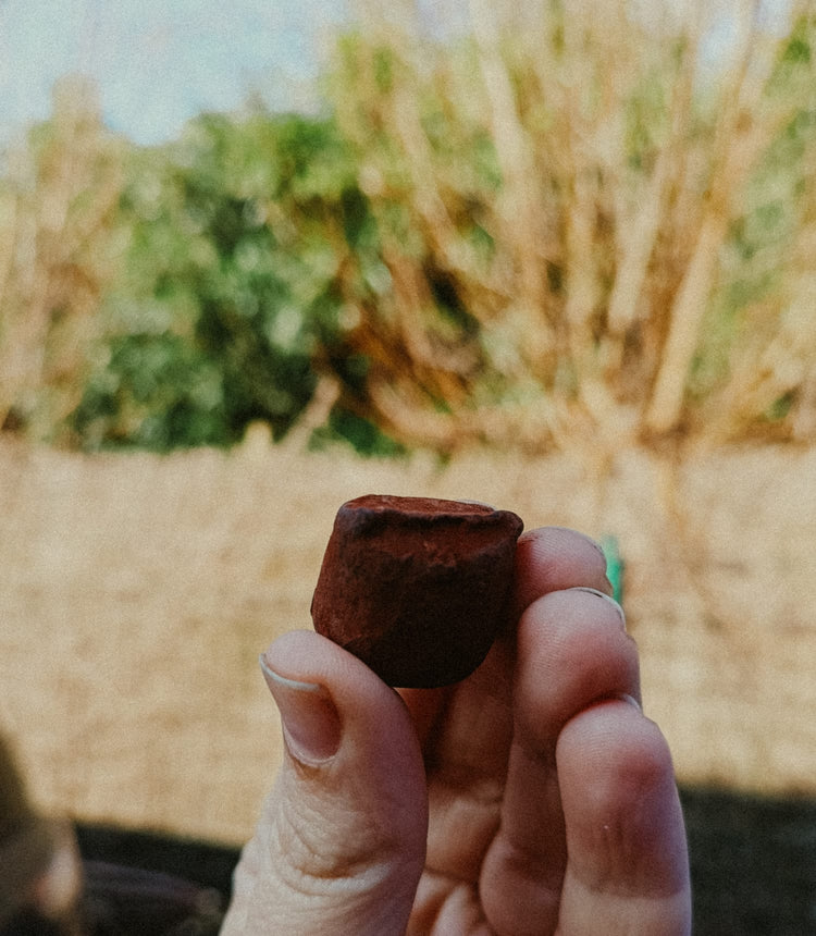 Chocolade truffels- Hazelnoot